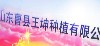 曹县王坤种植有限公司